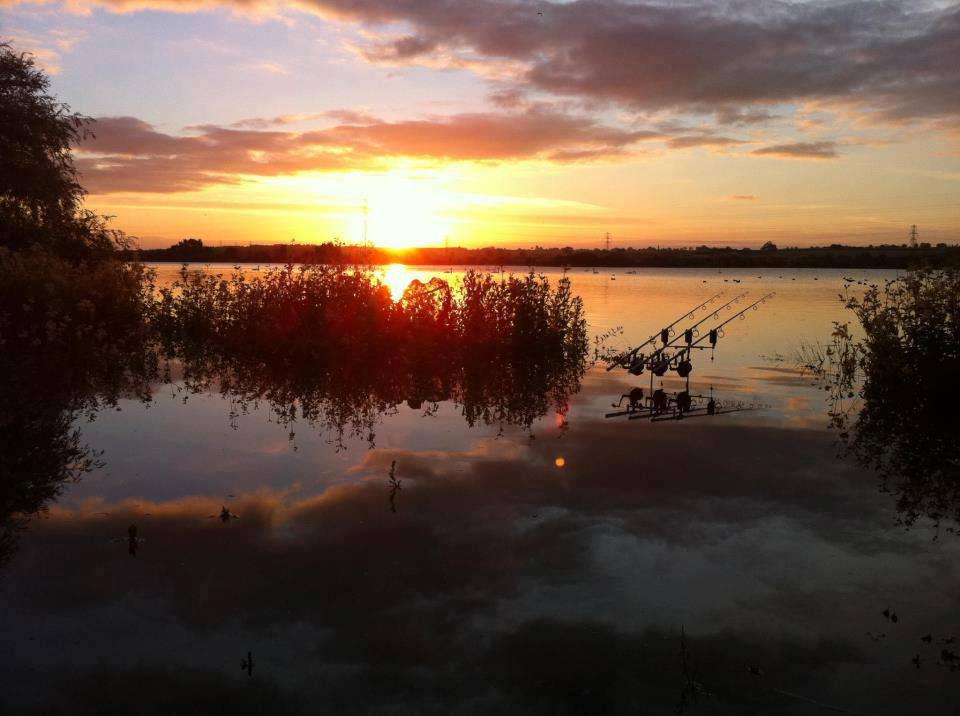 ::::::::LIKE:::::::: - 9937685427788724245521486227680n.jpg